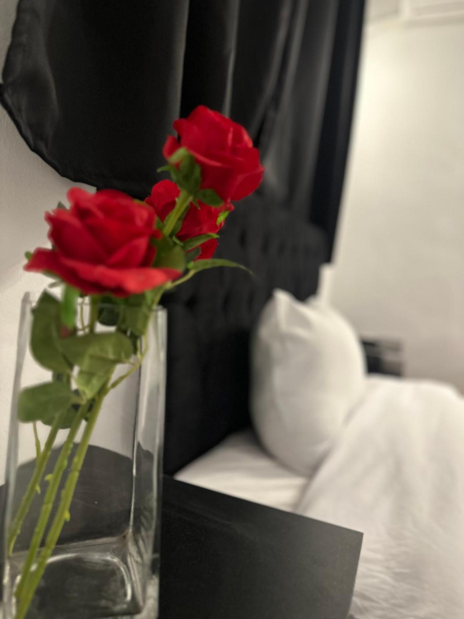 Apartment 2 - Bedroom In The Heart Of Zamalek Visits Allowed Cairo