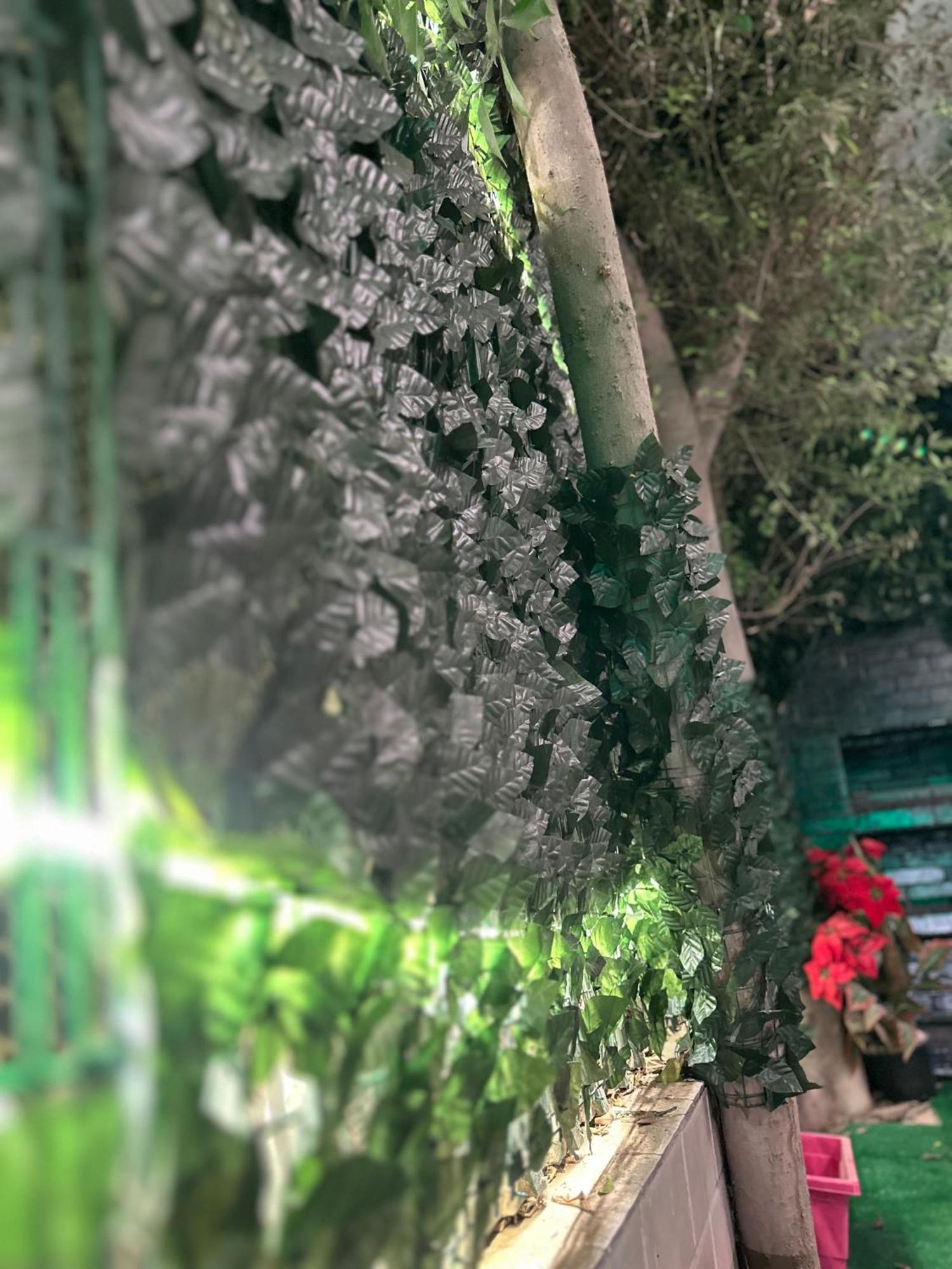 2 - Bedroom In The Heart Of Zamalek Visits Allowed Apartment